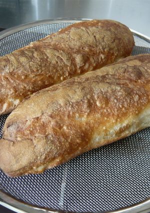 手ごね 多加水フランスパン(バタール)-レシピのメイン写真