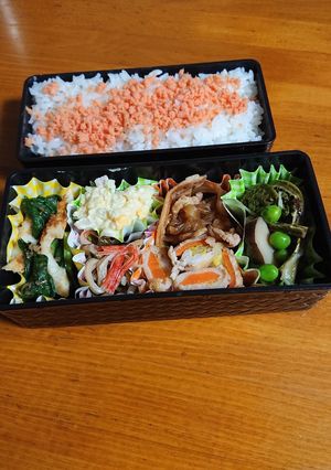 山菜を取り入れたお弁当です-レシピのメイン写真