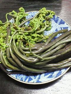 わらびの下処理-レシピのメイン写真