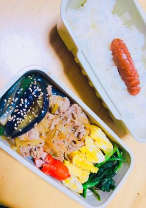 旦那さまお弁当9-レシピのメイン写真