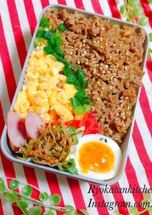 もやしでかさまし！ヘルシーそぼろ-レシピのメイン写真