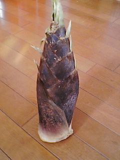 たけのこのあくぬき方法-レシピのメイン写真