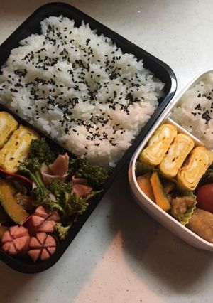 高校生お弁当（2019.4.15）-レシピのメイン写真
