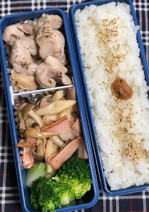 20190411マイ弁当-レシピのメイン写真