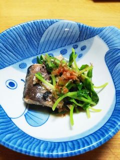 さばの水煮缶と豆苗の簡単煮-レシピのメイン写真