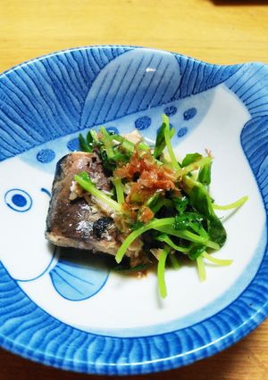 さばの水煮缶と豆苗の簡単煮-レシピのメイン写真