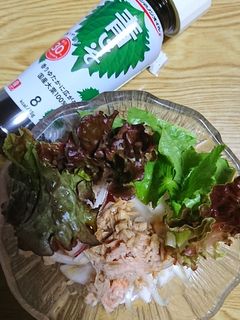 トマトと新玉の青じそサラダ-レシピのメイン写真