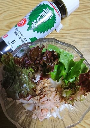 トマトと新玉の青じそサラダ-レシピのメイン写真