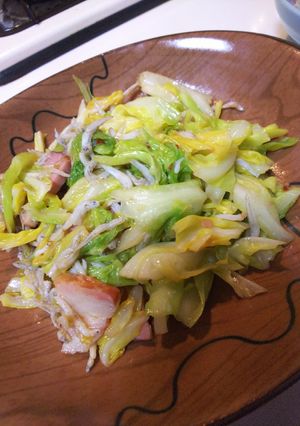 お野菜ぺろりメニュー[春キャベツ]-レシピのメイン写真