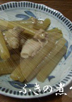 春の旬★フキの煮付け 簡単!-レシピのメイン写真