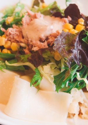 ★藤屋本店監修★サラダひもかわうどん-レシピのメイン写真