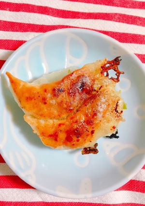 覚え書き！もっちり餃子の皮-レシピのメイン写真