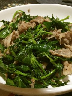 ほうれん草と豚コマの鶏ガラ炒め-レシピのメイン写真