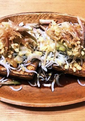 簡単！厚揚げ×シラスのねぎポンのっけ盛り-レシピのメイン写真