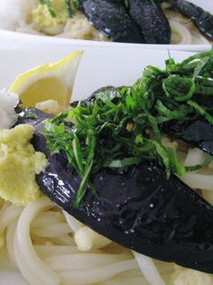 揚げナスおろしぶっかけうどん-レシピのメイン写真