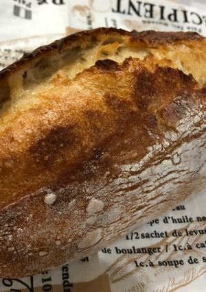 ヨーグルトクッペ 自家製酵母-レシピのメイン写真
