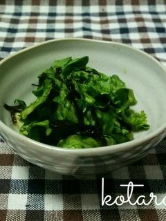 レタスと塩昆布の漬物-レシピのメイン写真