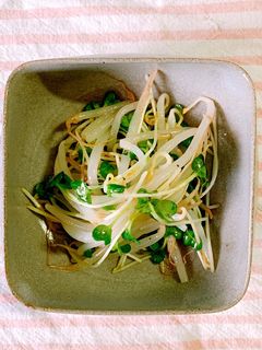 簡単!もやしとカイワレの旨塩ナムル-レシピのメイン写真