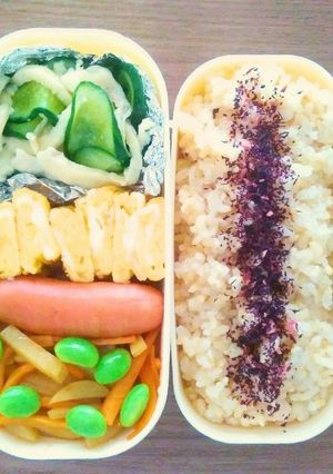 旦那弁当 記録0418-レシピのメイン写真