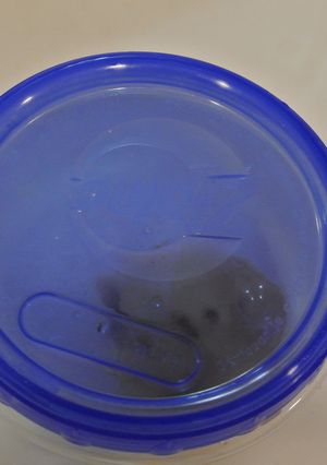 生姜を長持ちさせる方法-レシピのメイン写真