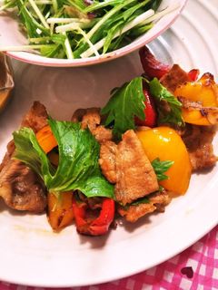 豚肉とパプリカとセロリの葉の和風炒め-レシピのメイン写真