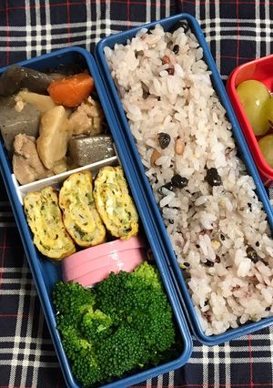 20190419マイ弁当-レシピのメイン写真