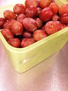 ぶどうの保存方法-レシピのメイン写真