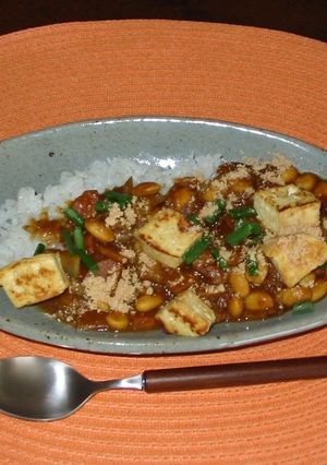 もち大豆三昧カレー-レシピのメイン写真