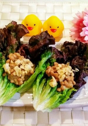 納豆のレタス巻き♪-レシピのメイン写真