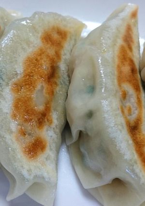 ホットプレートで焼くハイブリッド餃子-レシピのメイン写真