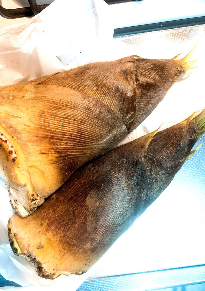 筍の灰汁抜きと保存-レシピのメイン写真