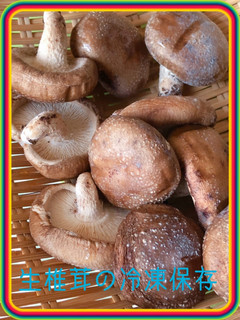 生椎茸の冷凍保存〜(o˘◡˘o)♡-レシピのメイン写真
