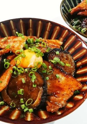 豚バラとナスのガツンと丼-レシピのメイン写真