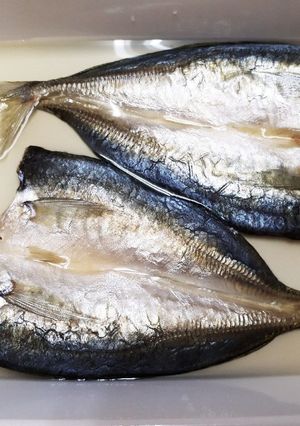 干物の秘密-レシピのメイン写真