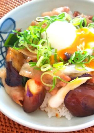 豚バラ茄子丼-レシピのメイン写真