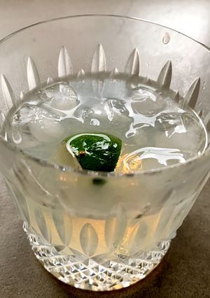 スパイス ジン トニック-レシピのメイン写真