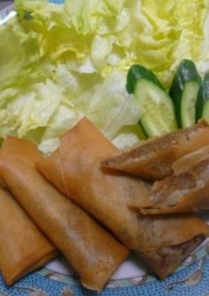 残りカレーdeおから春巻き-レシピのメイン写真