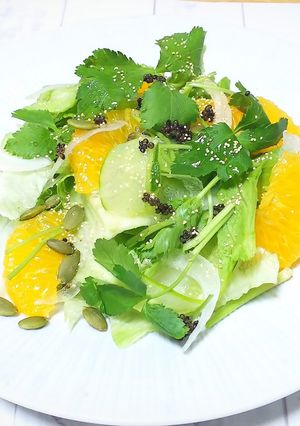 八朔入り野菜サラダ-レシピのメイン写真