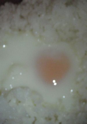 超簡単♪なんと♪ずぼらな♪温泉玉子ご飯♪-レシピのメイン写真
