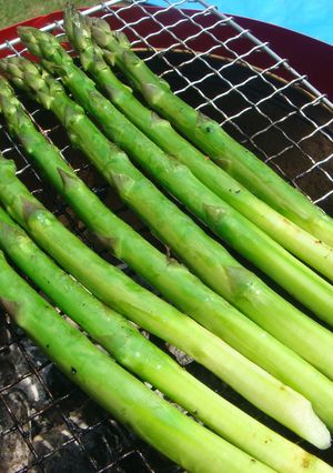 網焼きBBQ-レシピのメイン写真
