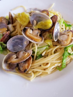 春キャベツとあさりのパスタ-レシピのメイン写真