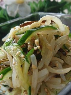 もやしとキュウリの塩昆布和え-レシピのメイン写真