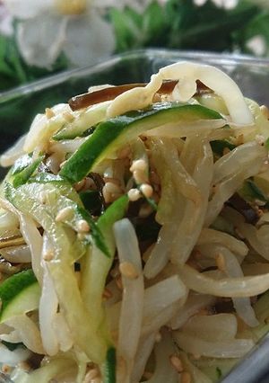 もやしとキュウリの塩昆布和え-レシピのメイン写真
