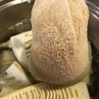 後片付け簡単!!タケノコの下茹で♪