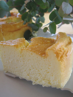 ヨーグルトでチーズケーキ♪-レシピのメイン写真
