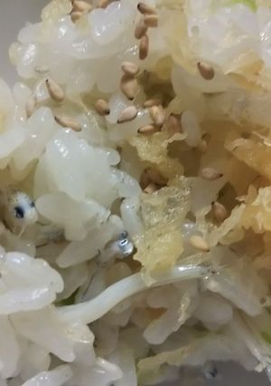 悪魔のおにぎってない、しらす炒めネギ-レシピのメイン写真