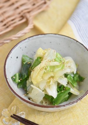 春キャベツのやみつき塩だれサラダ-レシピのメイン写真