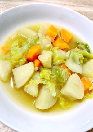 野菜たっぷりポトフ-レシピのメイン写真
