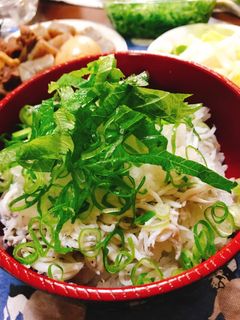 釜揚げしらす丼-レシピのメイン写真