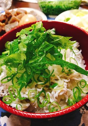 釜揚げしらす丼-レシピのメイン写真
